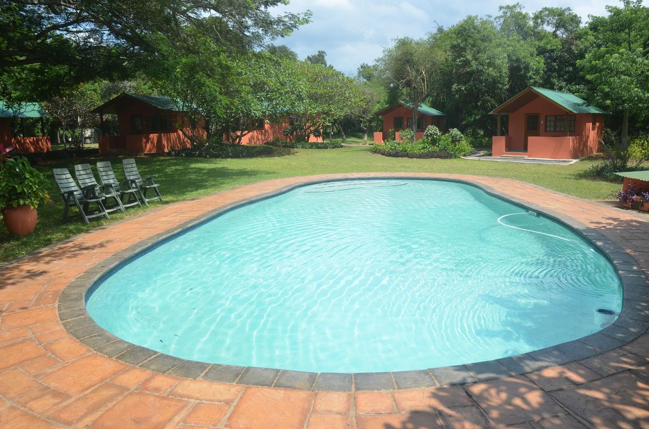 שלושלואי Bushbaby Lodge & Camping מראה חיצוני תמונה