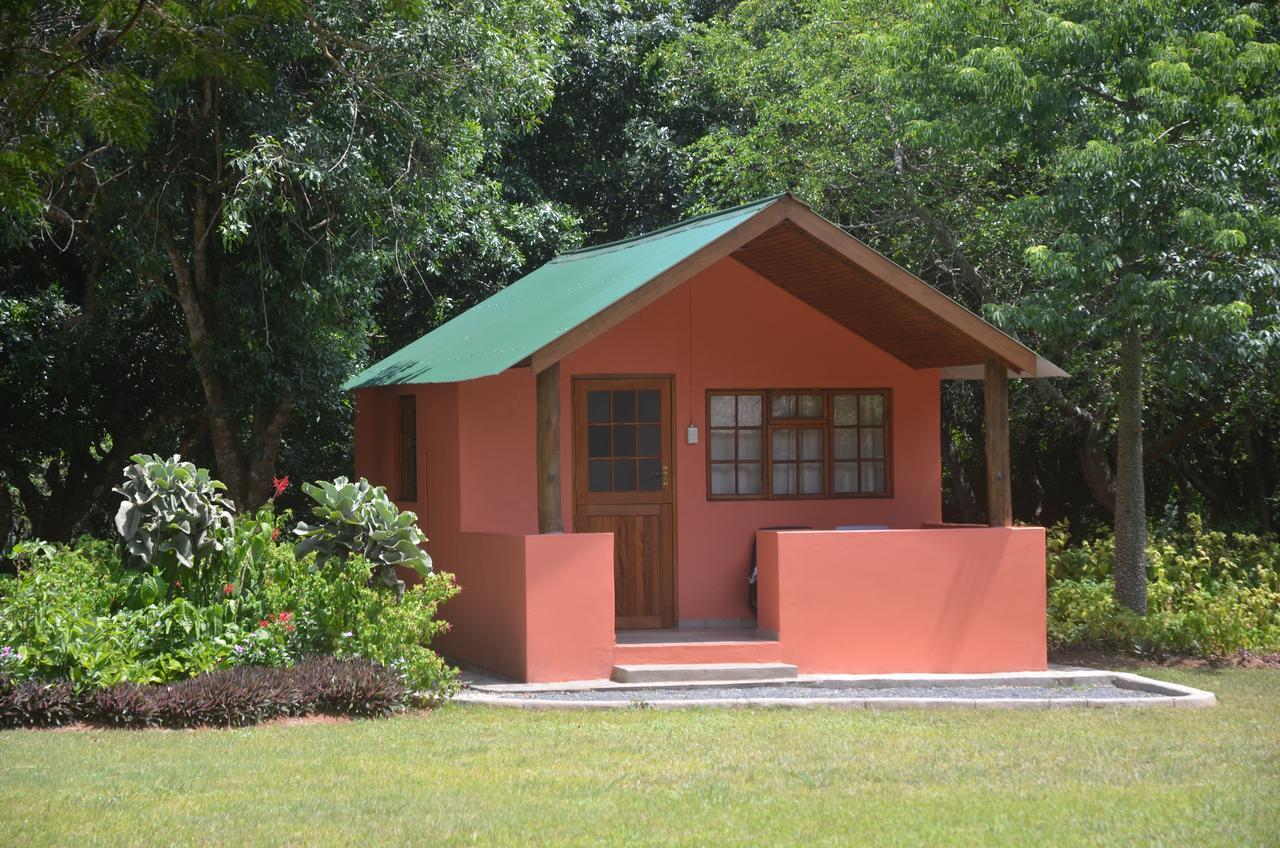 שלושלואי Bushbaby Lodge & Camping מראה חיצוני תמונה