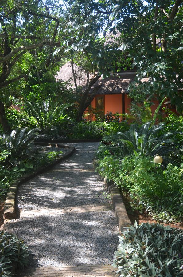 שלושלואי Bushbaby Lodge & Camping מראה חיצוני תמונה
