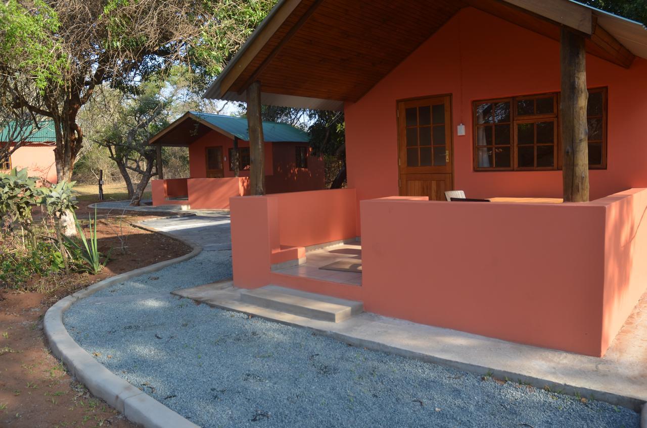 שלושלואי Bushbaby Lodge & Camping מראה חיצוני תמונה