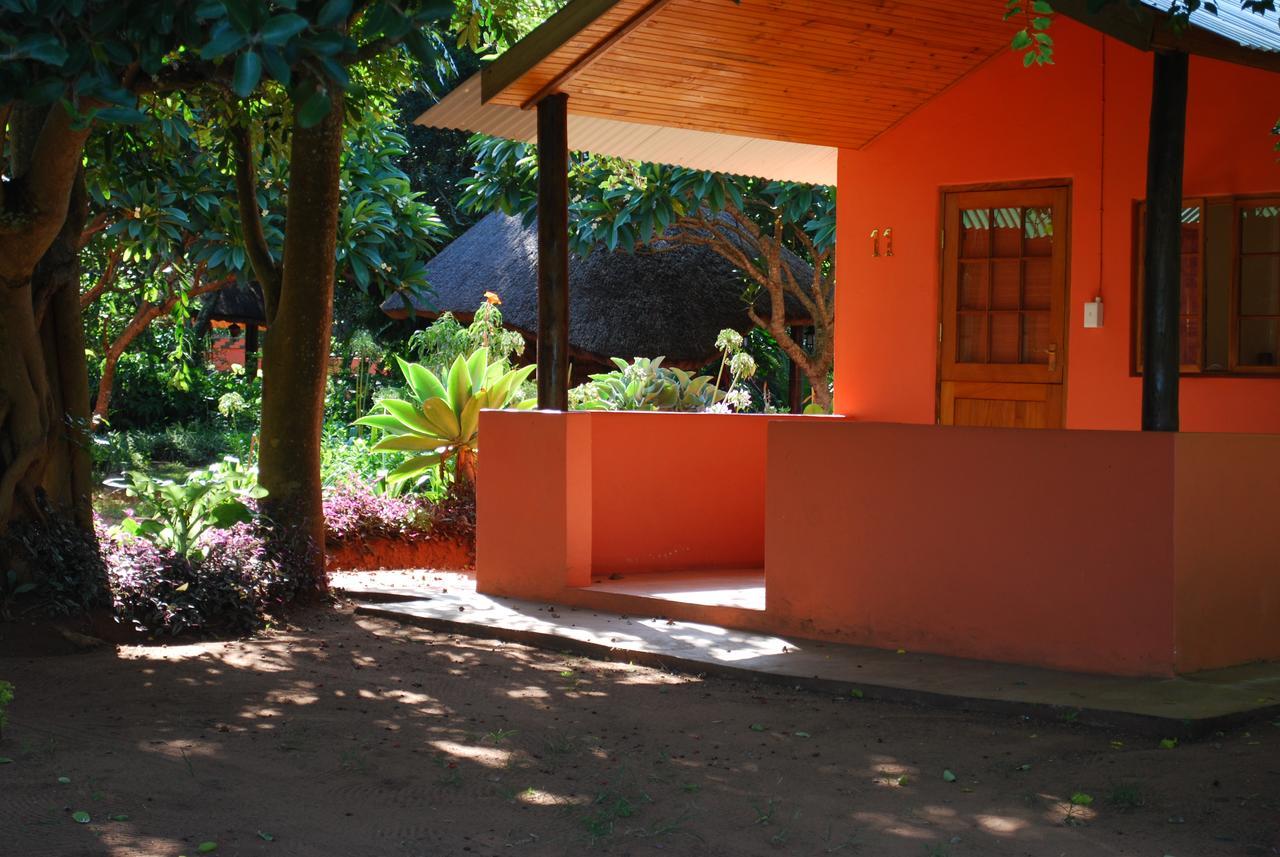 שלושלואי Bushbaby Lodge & Camping מראה חיצוני תמונה