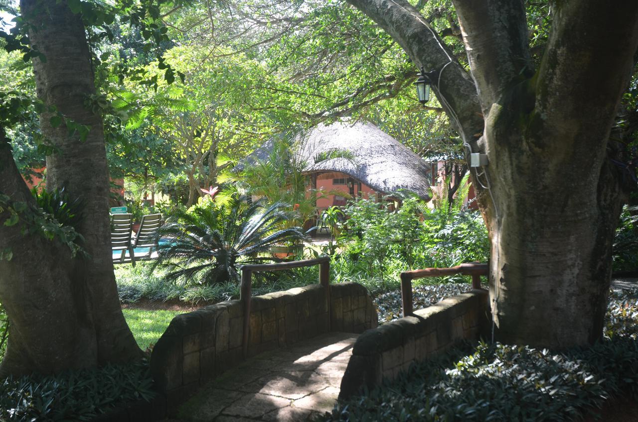 שלושלואי Bushbaby Lodge & Camping מראה חיצוני תמונה