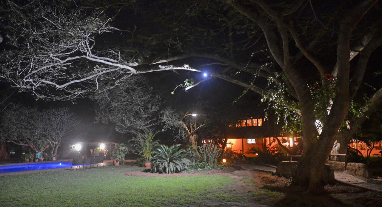 שלושלואי Bushbaby Lodge & Camping מראה חיצוני תמונה