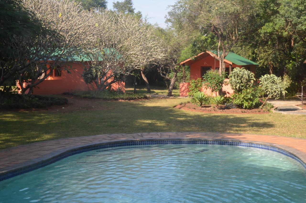 שלושלואי Bushbaby Lodge & Camping מראה חיצוני תמונה